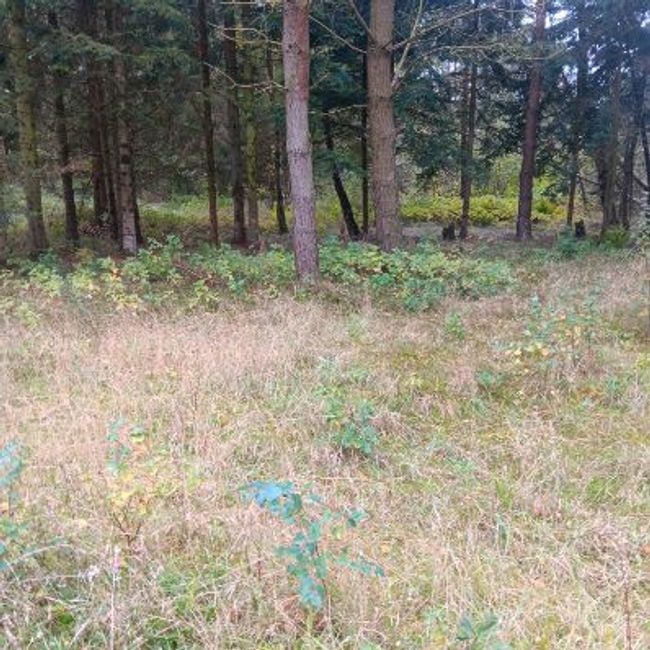 Søndre Smalbyvej 4H, 9370 Hals